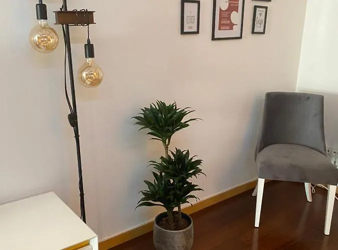 Host'in Arrais 公寓 *